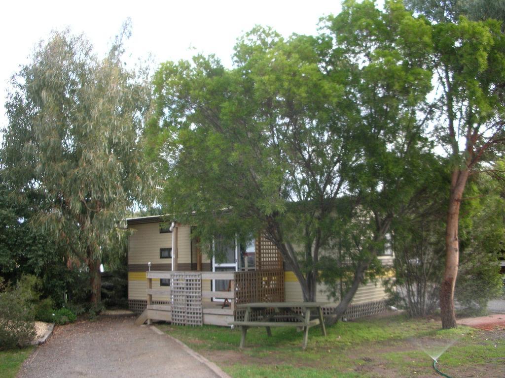 Triabunna Cabin & Caravan Park Værelse billede